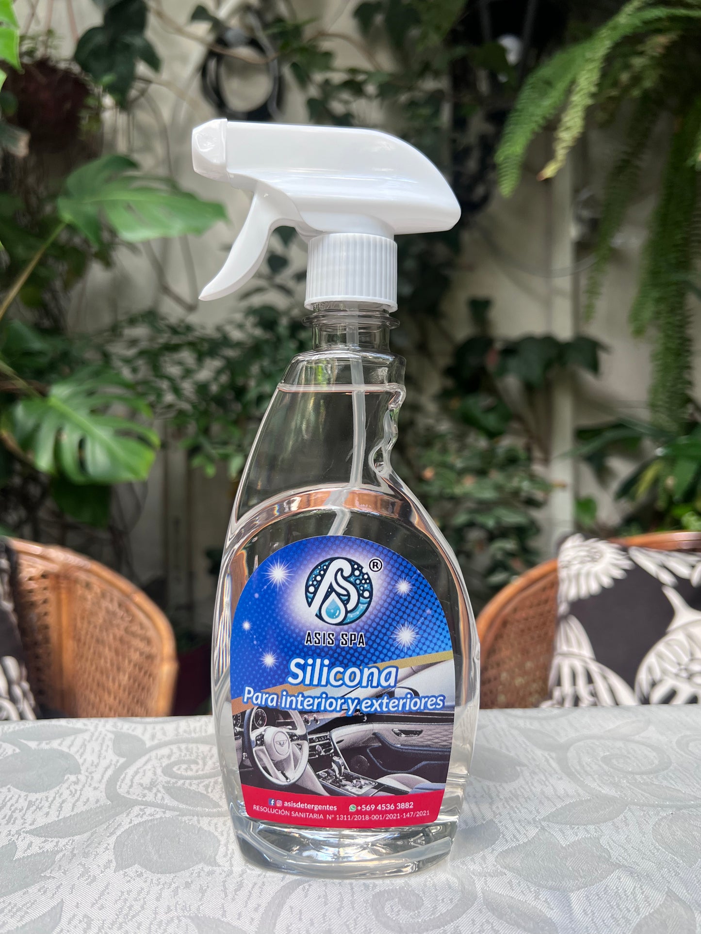 Silicona para Auto 500 mL