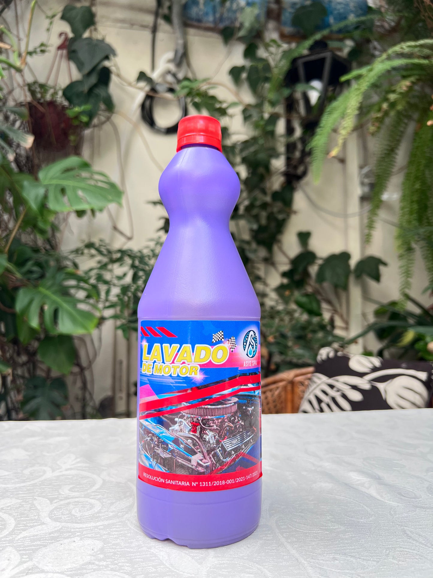 Lavado de Motor Asis 1L