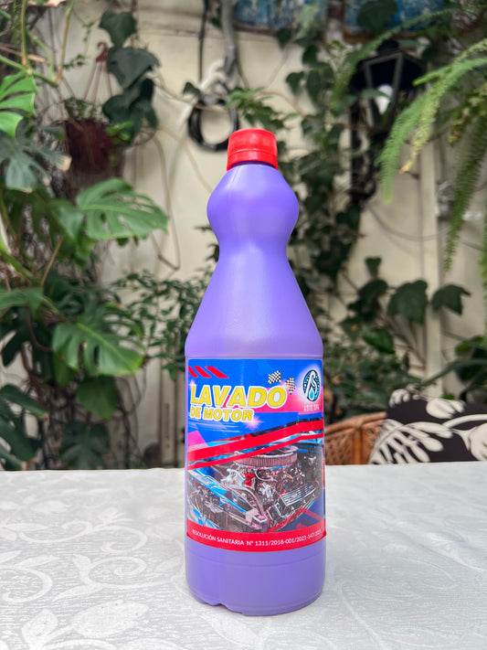Lavado de Motor Asis 1L